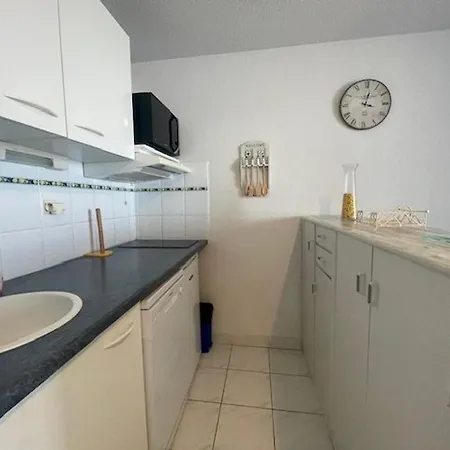 Apartament Avec Clim, Parking - 4 Pers. - Fr-1-880-34 Agde
